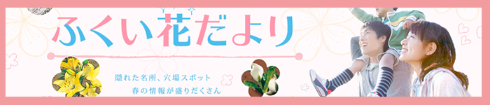 ふくい花だより